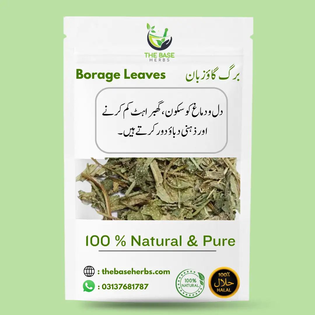 برگ گاؤزبان