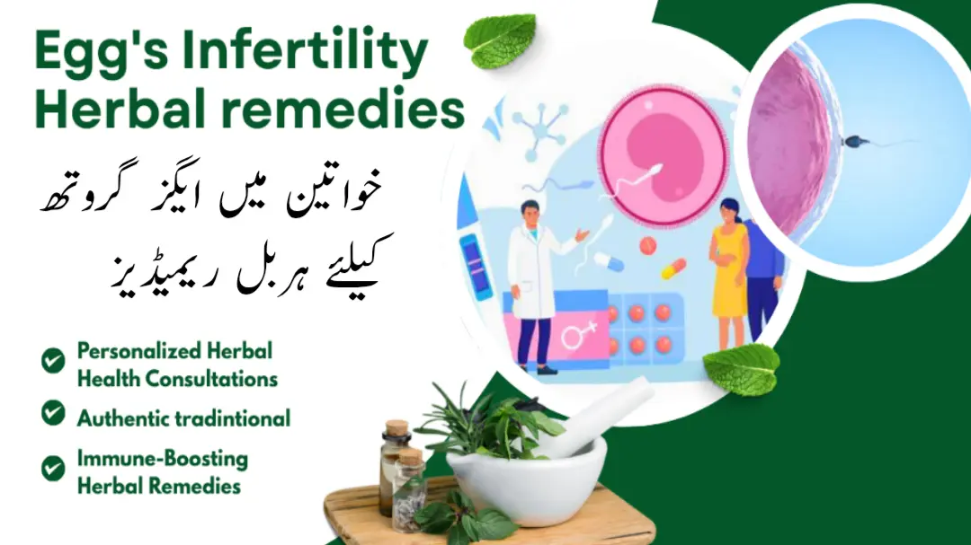 <p>ایگز گروتھ بڑھانے کیلئے ہربل ریمیڈی </p><p>EGGS INFERTILITY GUARANTEED HERBAL REMEDY</p>