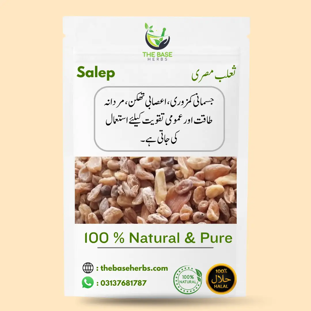 ثعلب مصری