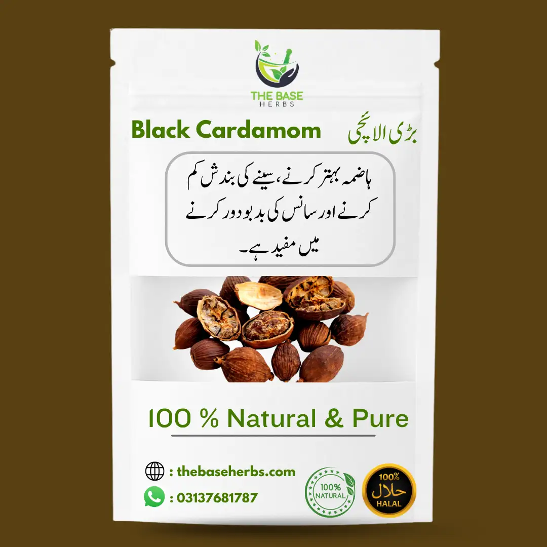 بڑی الائچی