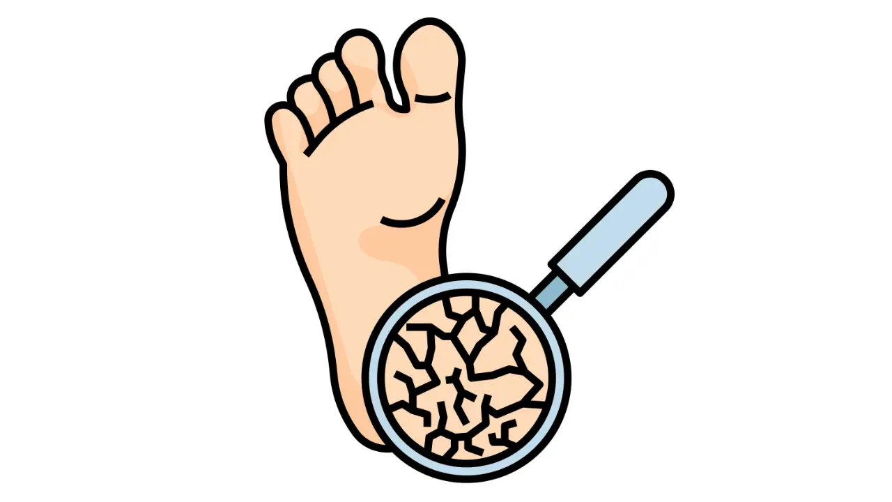 <h3 class="ql-align-right" dir="rtl">پھٹی ہوئی ایڑیوں کے لیے دی بیس ہربز کی خاص ہربل ریمیڈی</h3><h3>Special Herbal Remedy of The Base Herbs for Cracked Heels</h3><h3>फटी हुई एड़ियों के लिए द बेस हर्ब्स की ख़ास हर्बल रेमेडी</h3>