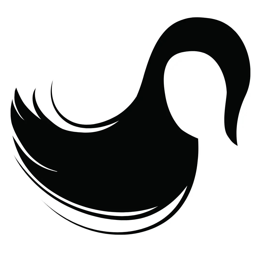 HAIR CARE بالوں کی حفاظت