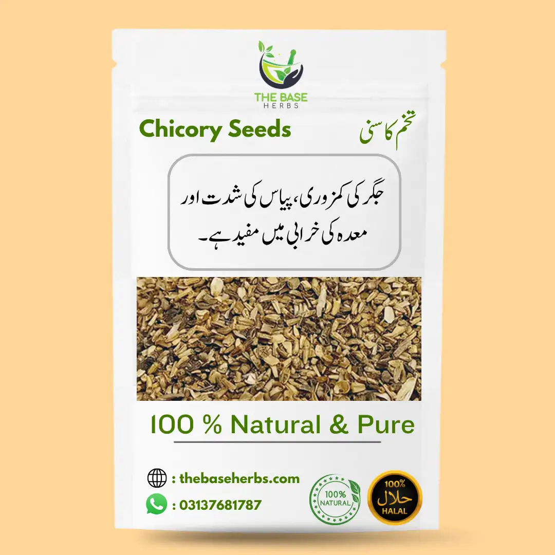 تخم کاسنی