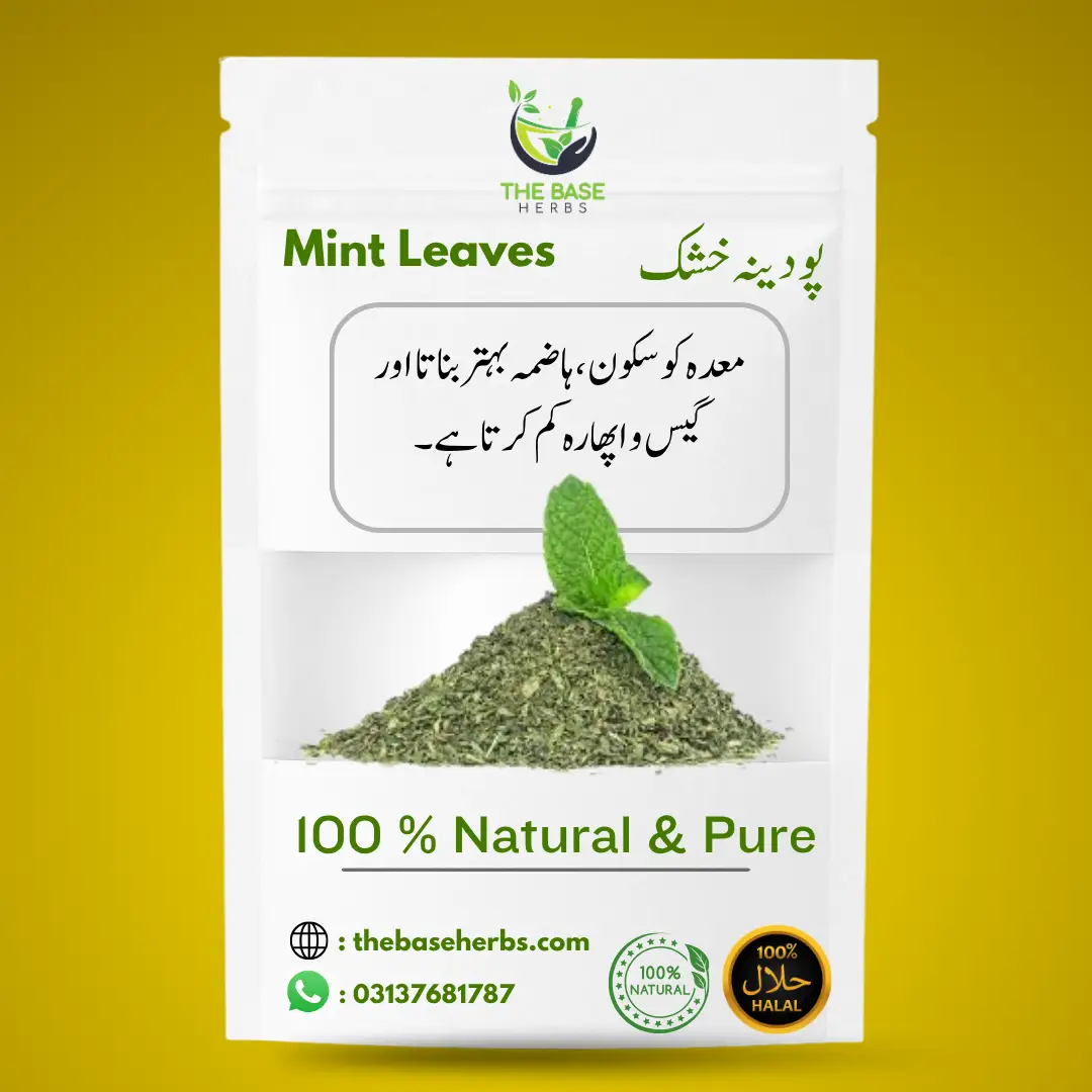 پودینہ خشک