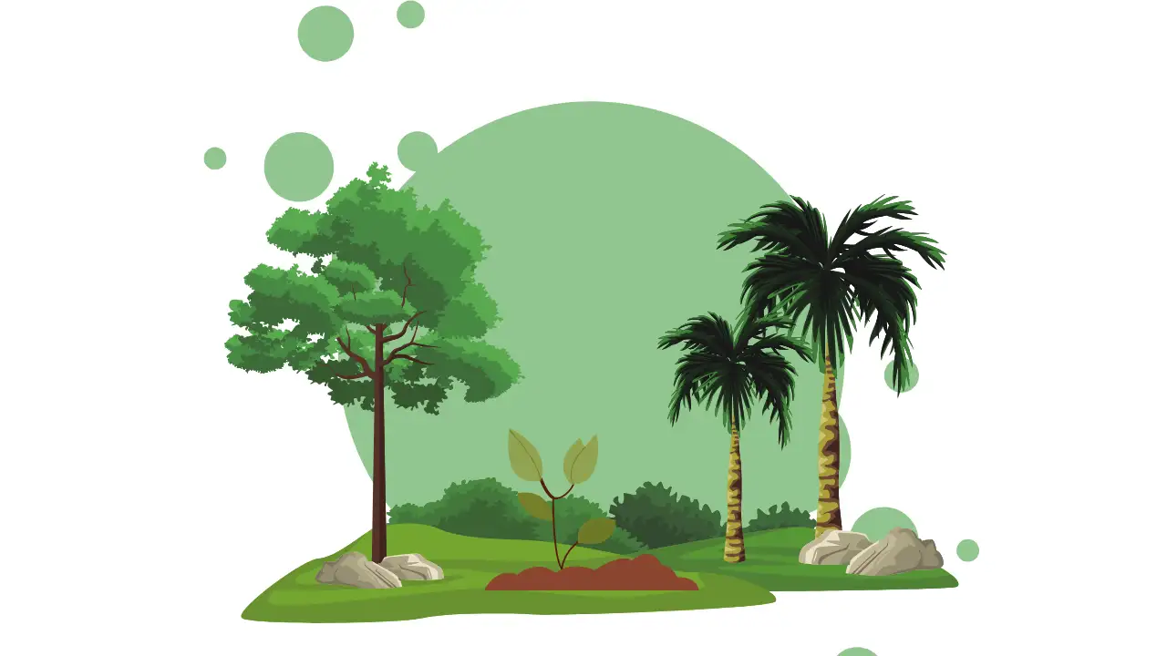 <p>فطرت – Nature – प्रकृति</p>