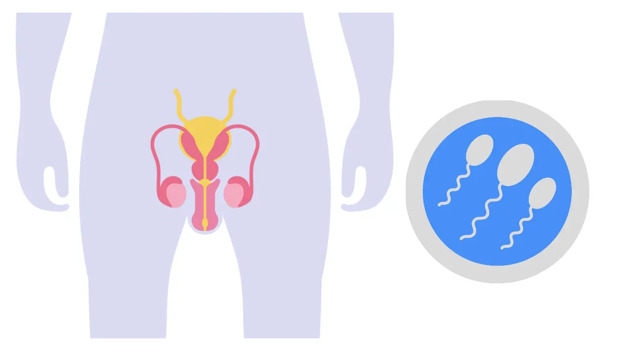 <p class="ql-align-right" dir="rtl">جریان احتلام سرعت انزال منی کا پتلا پن سپرم کی کمزوری کیلئے دی بیس ہربز کی خاص ہربل ریمیڈی</p><p>Herbal Remedy for Jaryan, Wet Dreams, Premature Ejaculation & Thin Semen – The Base Herbs Special</p><p>जऱीयान, स्वप्नदोष, शीघ्रपतन और वीर्य की पतलापन के लिए दी बेस हर्ब्स की खास हर्बल रेमेडी</p>