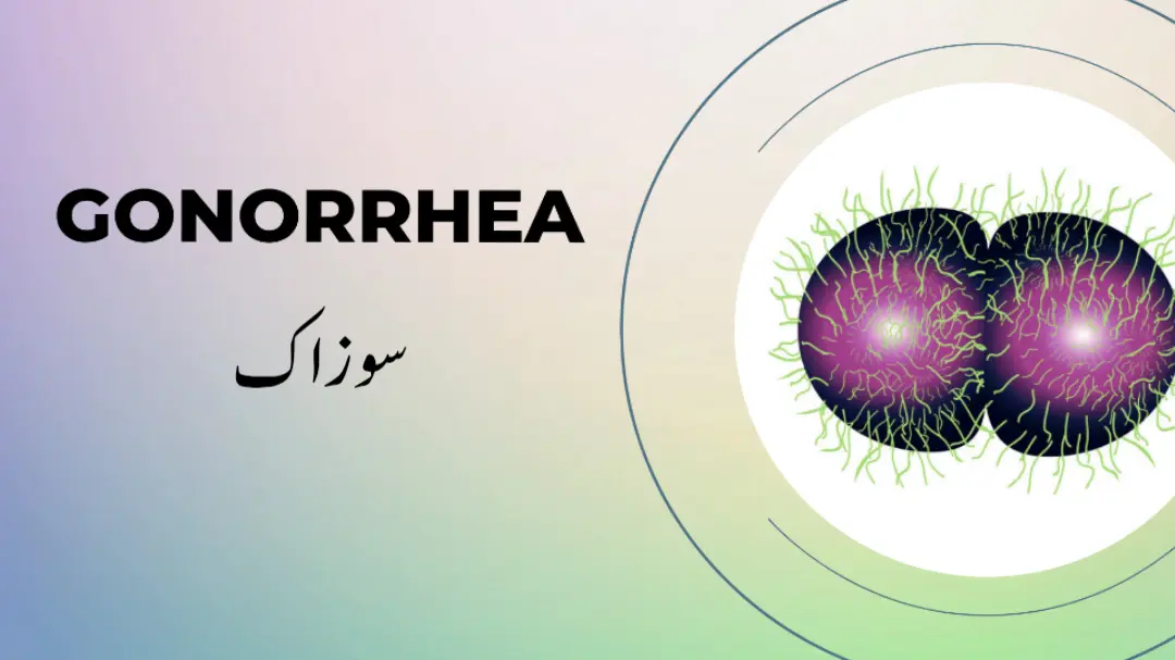 <p>سوزاک</p><p class=